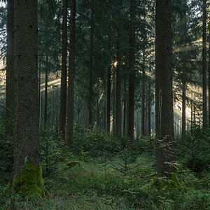 D72_0393.jpg