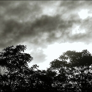 comp_DSC_4920_00001.jpg