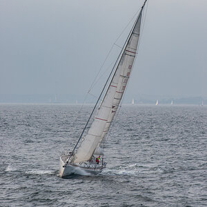 201004 AL546 NF-F-8.jpg
