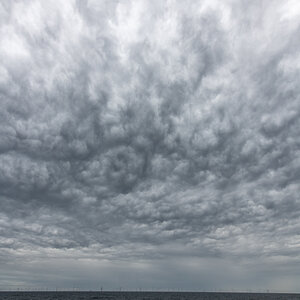 201004 AL546 NF-F-26.jpg