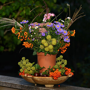 blumenarrangements_herbst.jpg