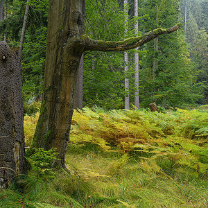 D85_4260.jpg