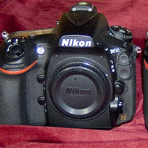 DSCF1121.jpg