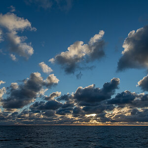 201011 AL546 NF-F-1.jpg