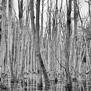 DSC_2763.jpeg