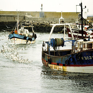 DSC_8960.jpg