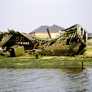 DSC_9107.jpg