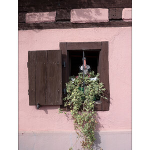 ElsassDSC_1081.jpg