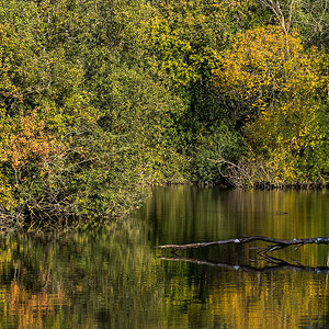 Herbstweiher 3 (1 von 1).JPG