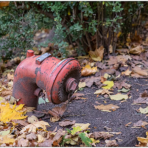 491 Hydrant im Kieler Schrevenpark