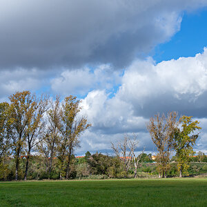 OF2_44198.jpg