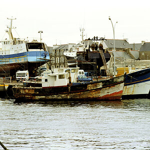 DSC_9503.jpg