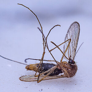 D72_0497x.jpg
