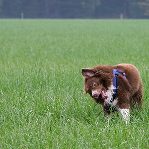 PA180502-Bearbeitet.jpg