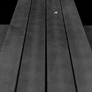 Nur 1 Blatt (1 von 1).JPG
