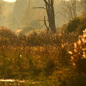 2020_31213.jpg
