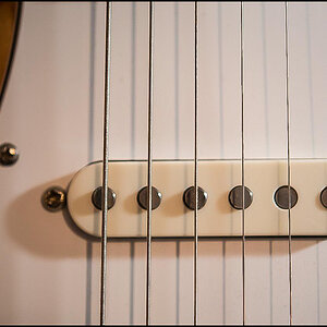 Single Coil (1 von 1).JPG