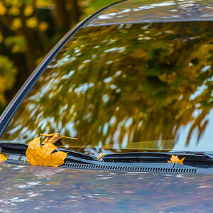 Herbstparker (1 von 1).JPG