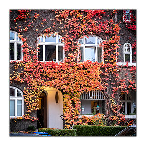 494 Fotospaziergang in neuer Umgebung