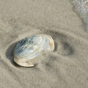 Amrum-2020-78.jpg