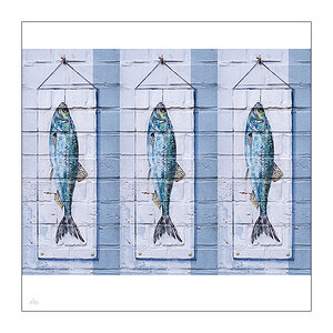 497 3er-Tableau mit Fischen
