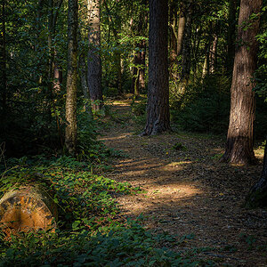 D72_0533.jpg