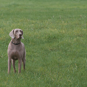 DSC_3673.jpg