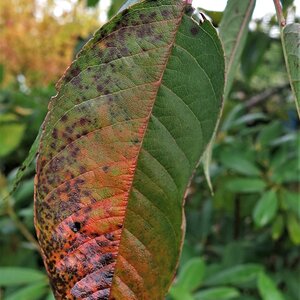 IMG_4373.jpg