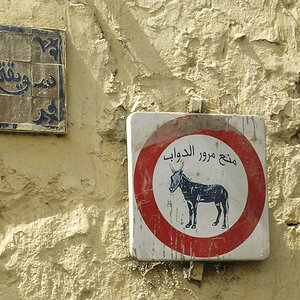 Schild Eselverbot.jpg