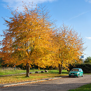 OF2_44324.jpg