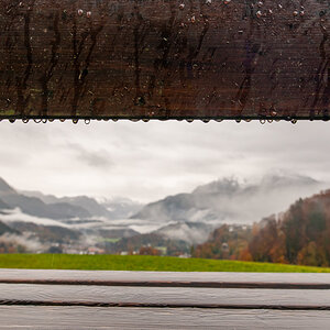 HAR_9346-2.jpg