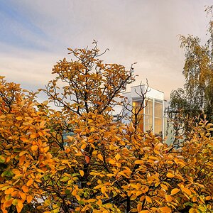TZ_2020-10-23 17.41.jpg