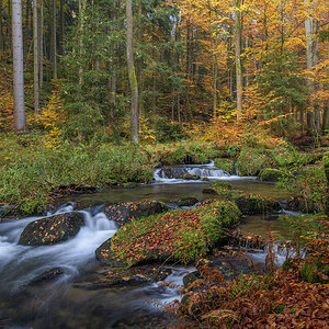 D85_4508_1.jpg