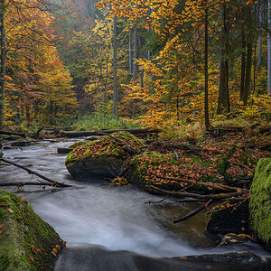 D85_4513_1.jpg