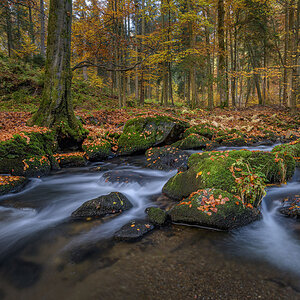 D85_4516.jpg