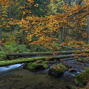 D85_4519.jpg