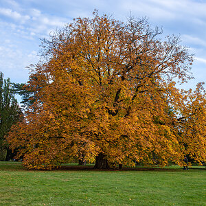 OF2_44430.jpg