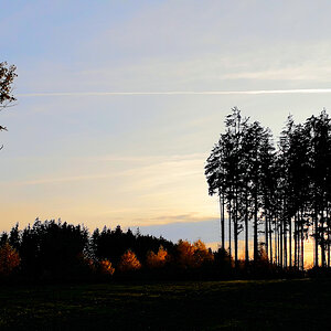 DSC_10419.jpg