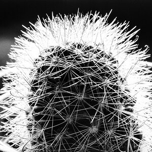 20201019-011.jpg