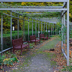 OF-60389.jpg