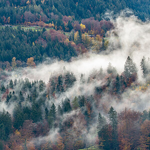 HAR_9554-2.jpg