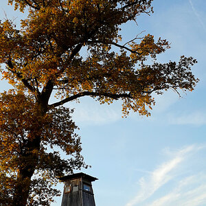 DSC_10417.jpg
