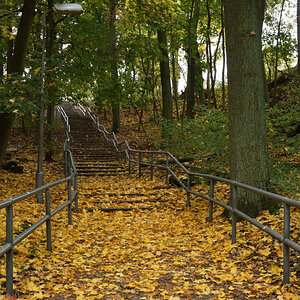 DSC_4188.JPG