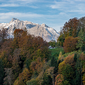 HAR_9172-2.jpg