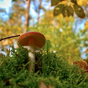 DSC_2999.jpeg