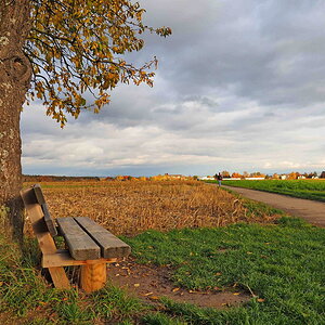 PA300985.jpg