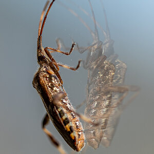 DSC_0060.jpg