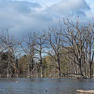OF5_05523.jpg
