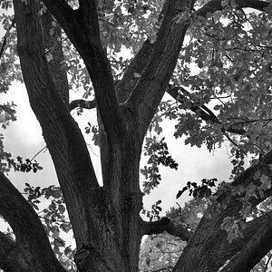 DSC_3086.jpeg