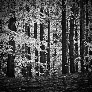 DSC_3092.jpeg